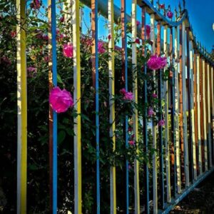 کیوان حیدری (دیجی بهنام) بغض